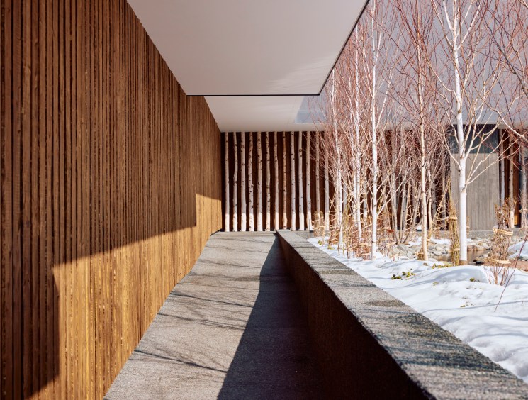 Modern wooden hotel building with vertical slat cladding and concrete walkway surrounded by bare winter trees