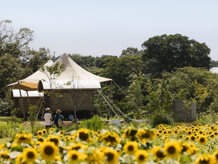 Two visitors walk through Kurkku Fields' gardens with a distinctive tent-like structure amid lush greenery and sunflowers