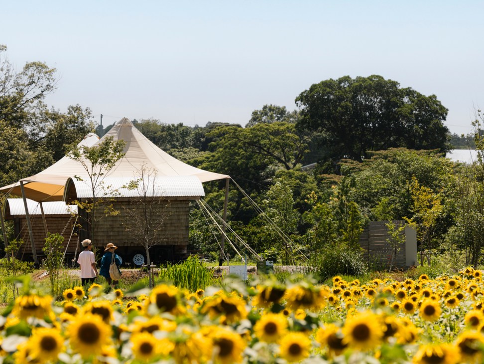 Two visitors walk through Kurkku Fields' gardens with a distinctive tent-like structure amid lush greenery and sunflowers