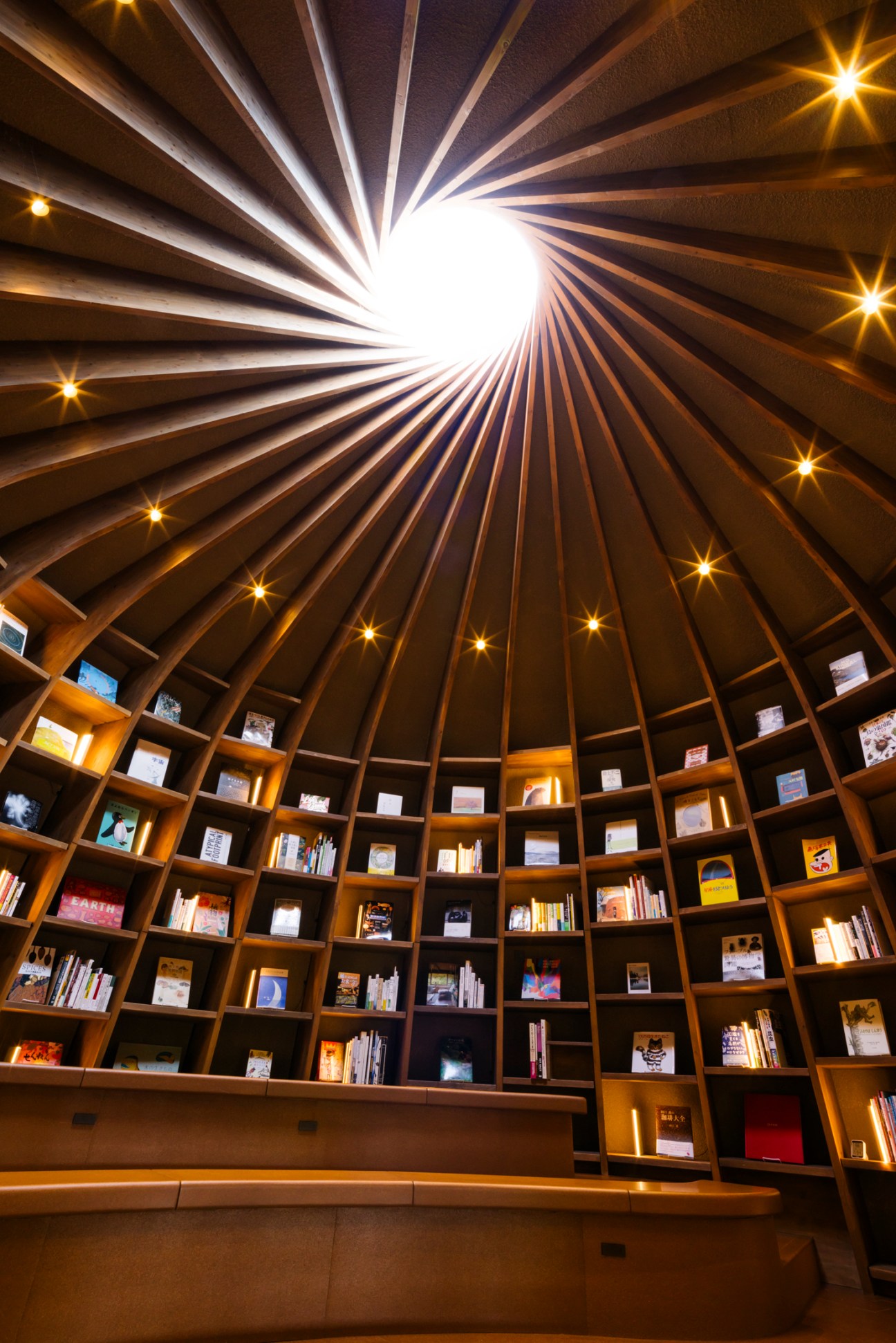 Circular library with radiating wooden beams on ceiling and built-in bookshelves lining curved walls