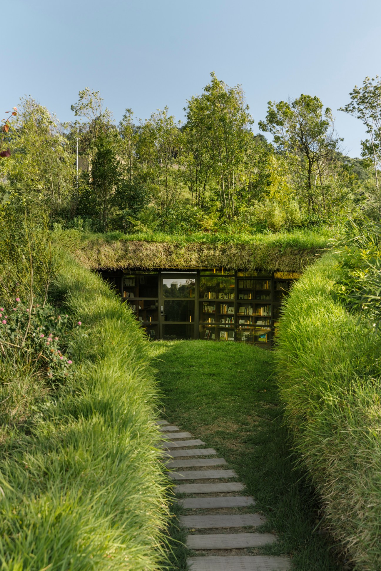 A grass pathway leads to an earth-sheltered library with glass walls and living roof at Kurkku Fields resort