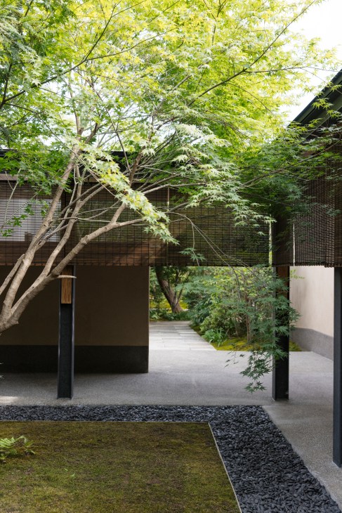 Leafy courtyard