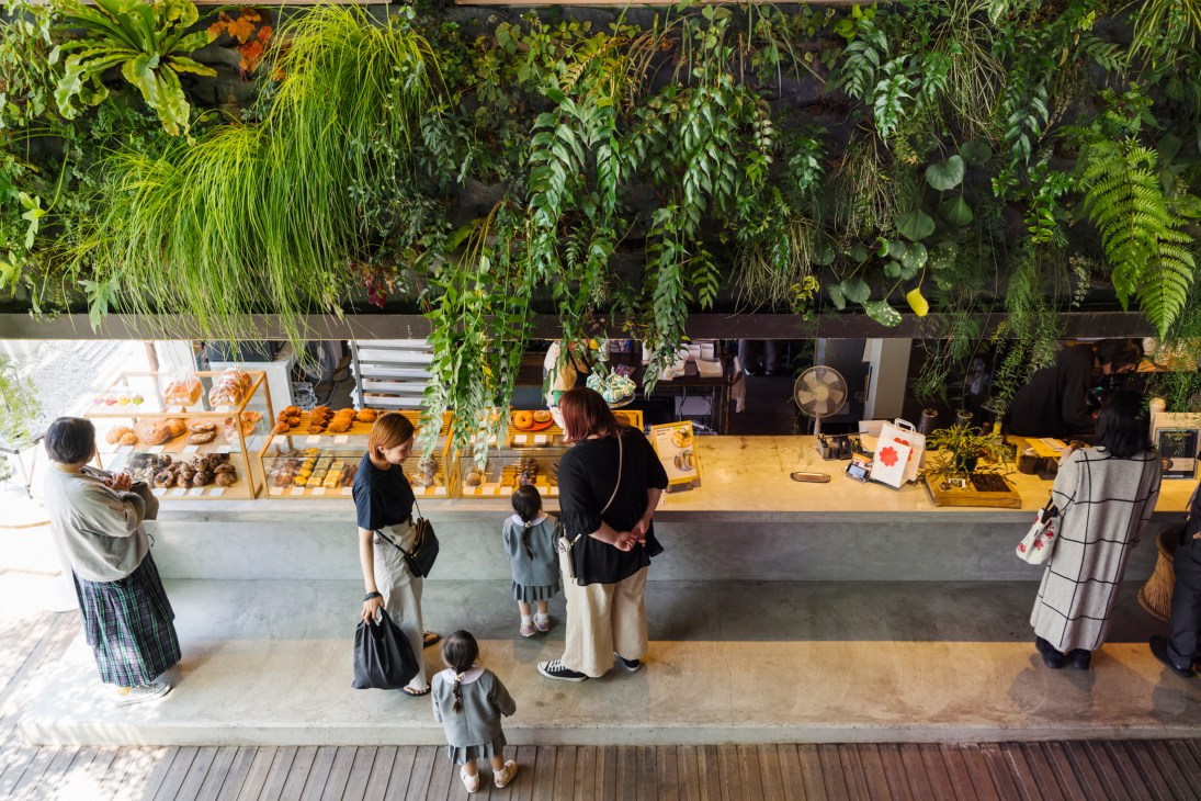 Overhead view of a modern cafe counter with customers waiting in line, displaying baked goods behind glass cases, with abundant hanging plants and greenery suspended from the ceiling above the service area.