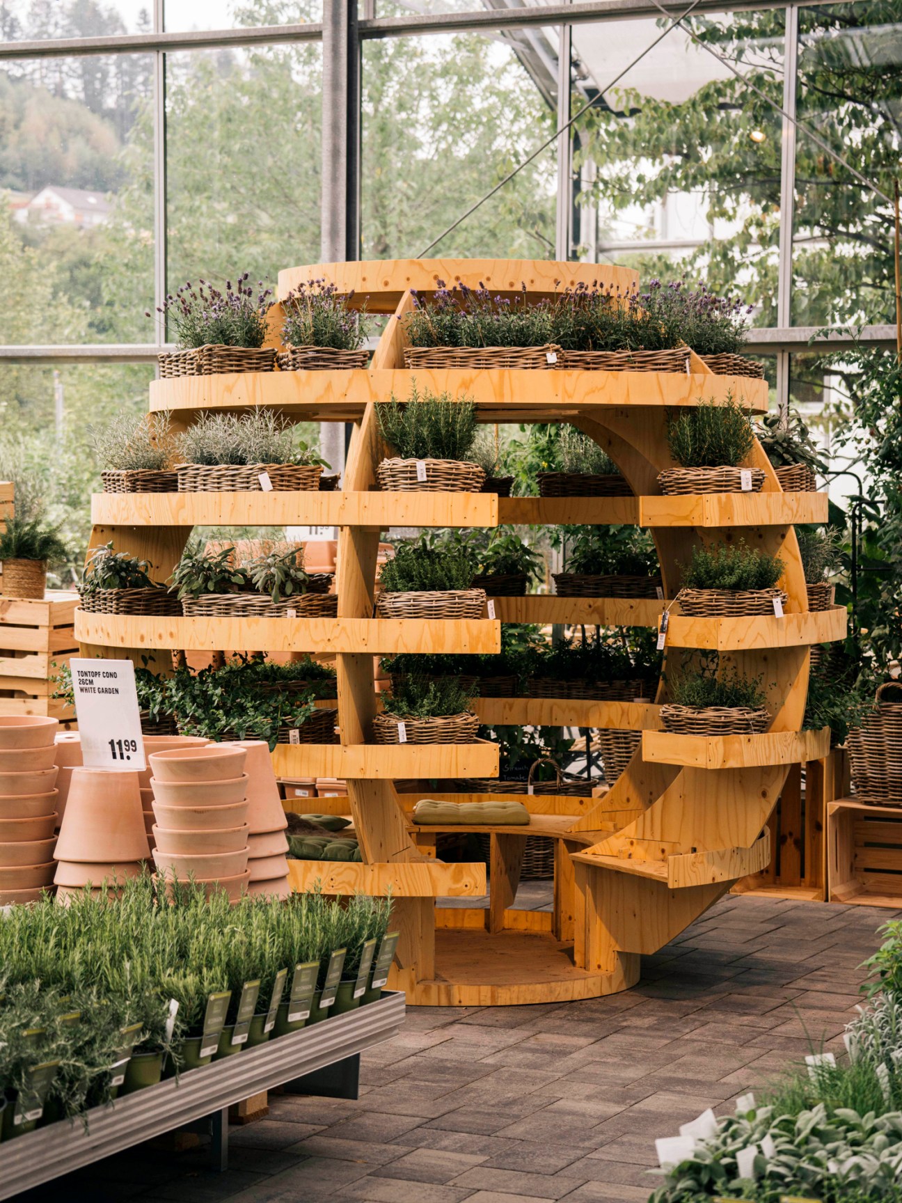 Wooden tiered plant display structure with potted herbs in wicker baskets inside a glasshouse at Kremer garden centre.