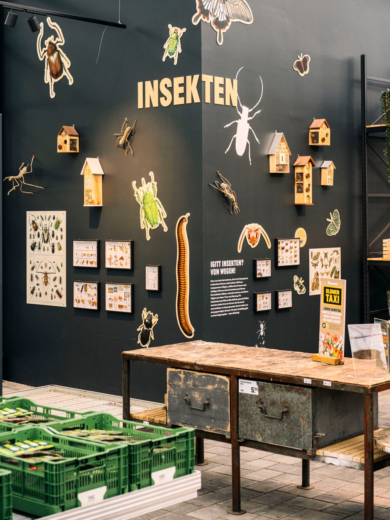 Museum display wall featuring illustrated insects, bug houses, and educational panels on dark background