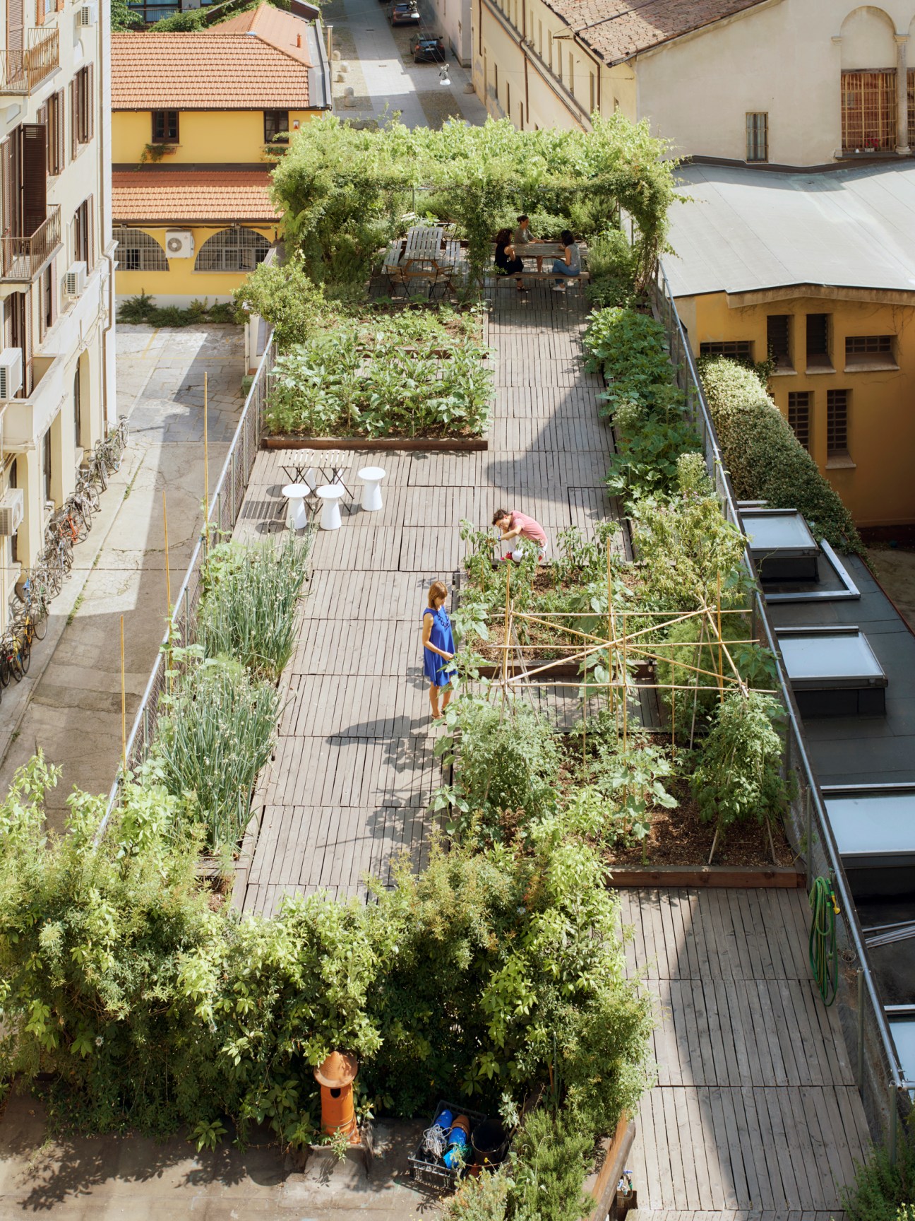 Rooftop vegetable garden at Piuarch architecture firm in Milan with growing plants and urban farming setup