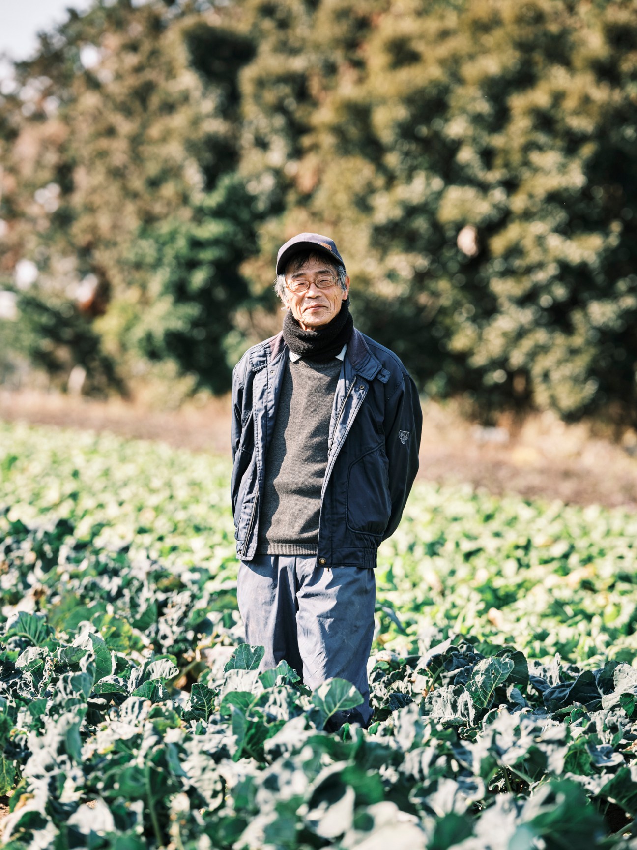 Elderly Japanese farmer Masatoshi Iwasaki standing in his organic vegetable field wearing glasses, cap and jacket