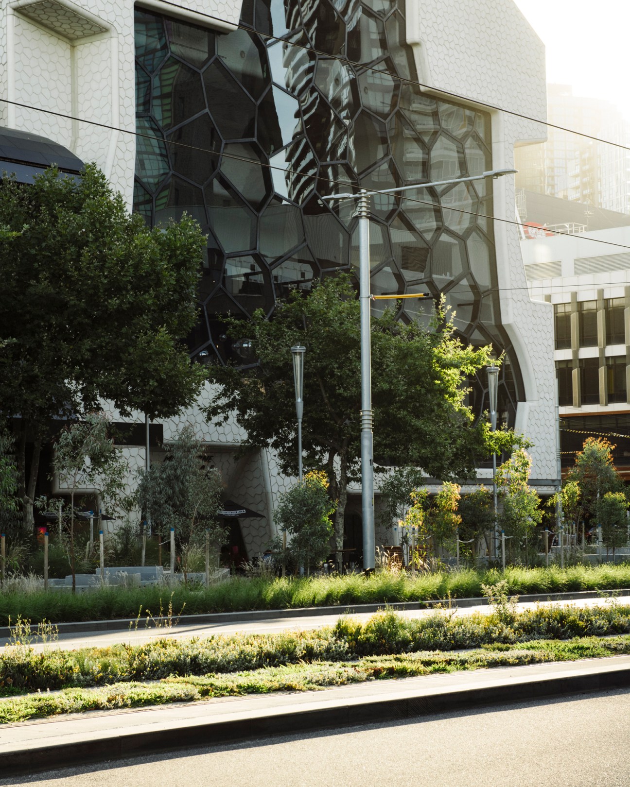 Modern building with distinctive honeycomb-patterned glass facade and landscaped streetscape with trees and walkways
