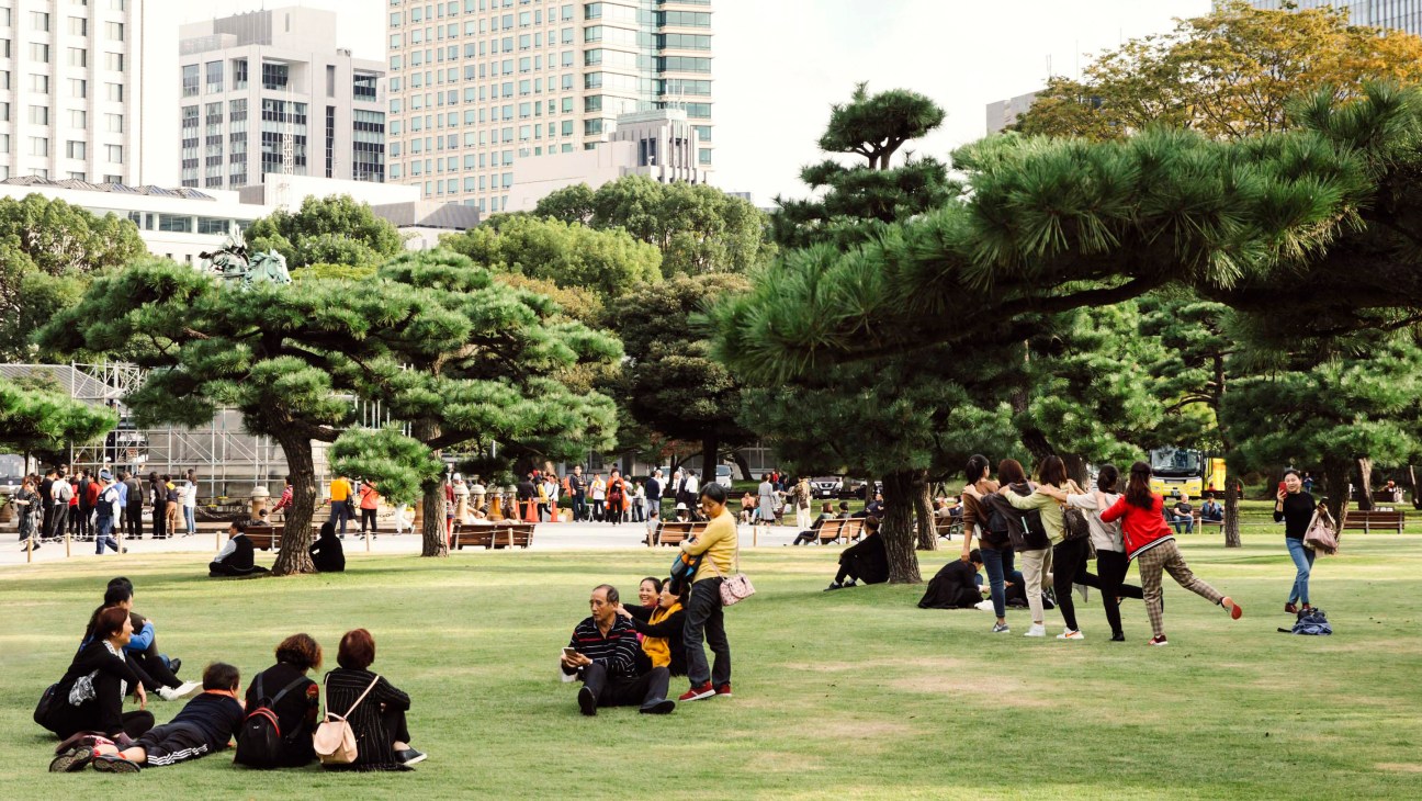 People relax and socialize in a Tokyo park with large trees and modern city buildings in the background.