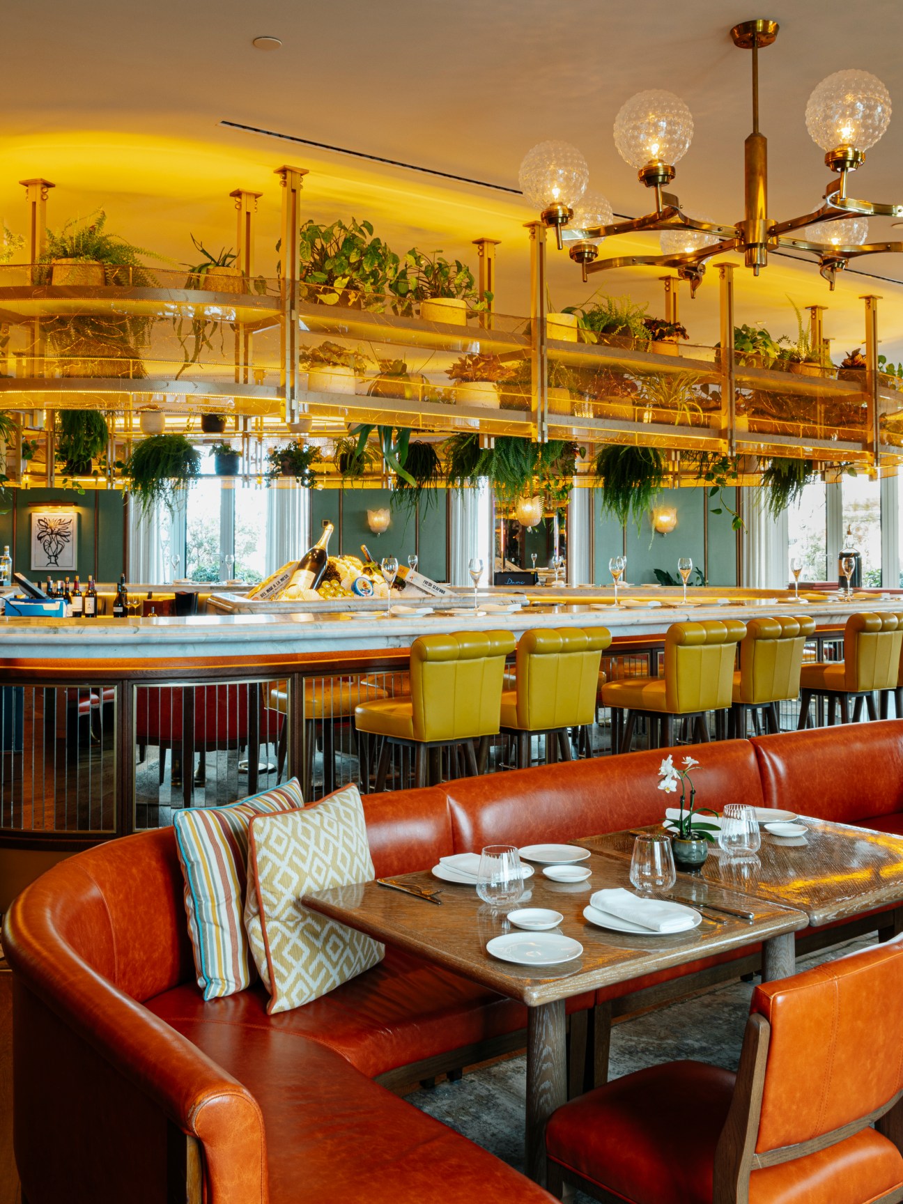 Dani Brasserie interior showing modern restaurant design with suspended garden shelving and warm lighting