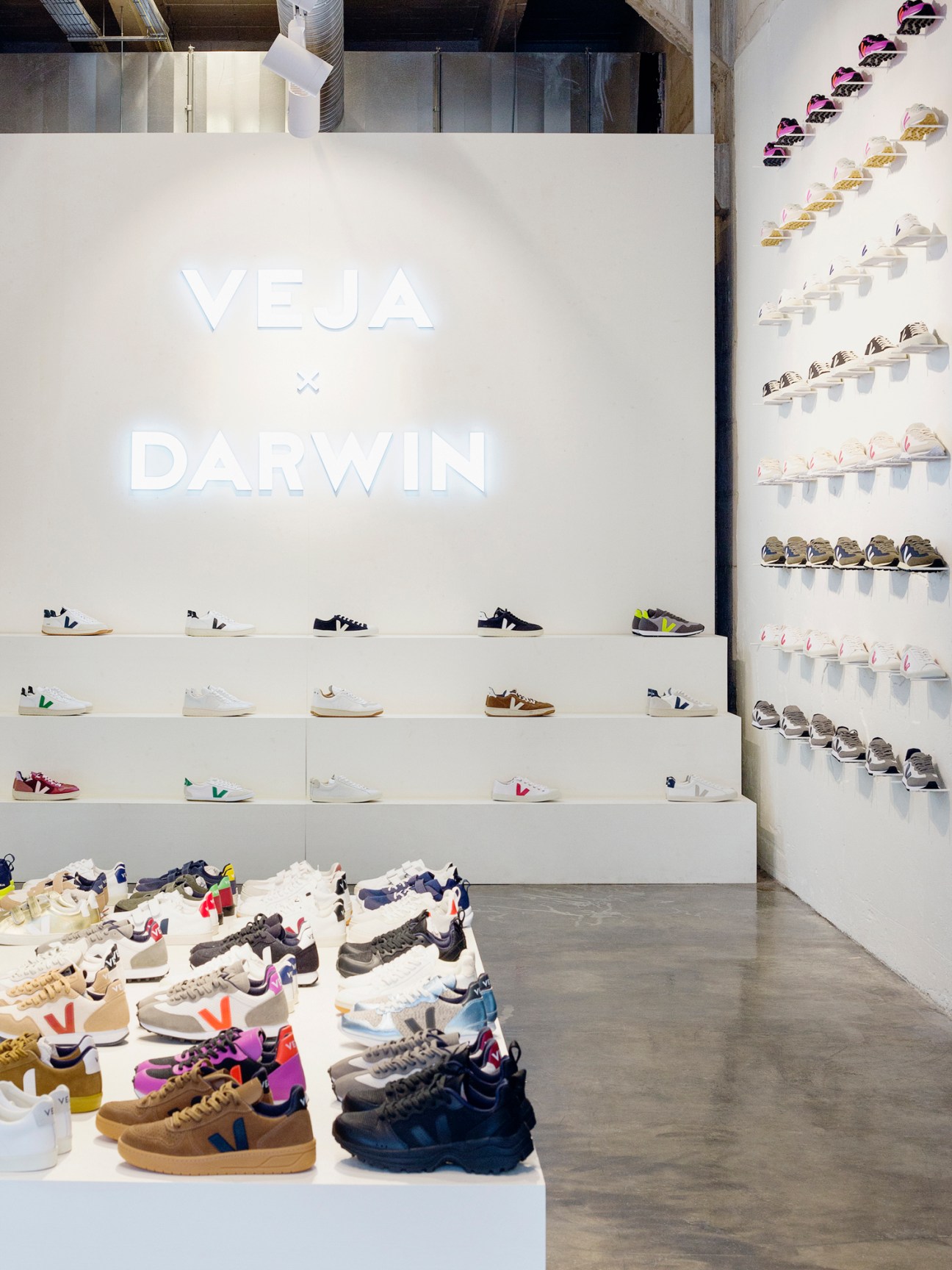 Veja x Darwin store interior showing white wall display with colorful sneakers arranged on shelves
