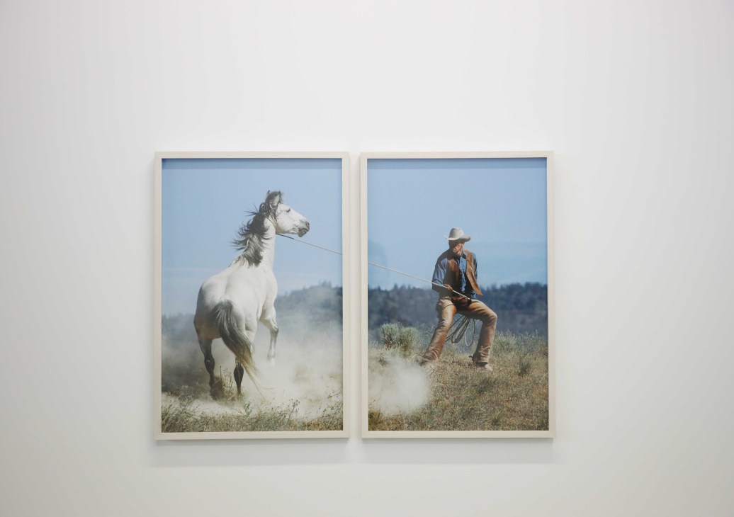 Two framed photographs on white wall showing a rearing white horse and a cowboy holding a rope
