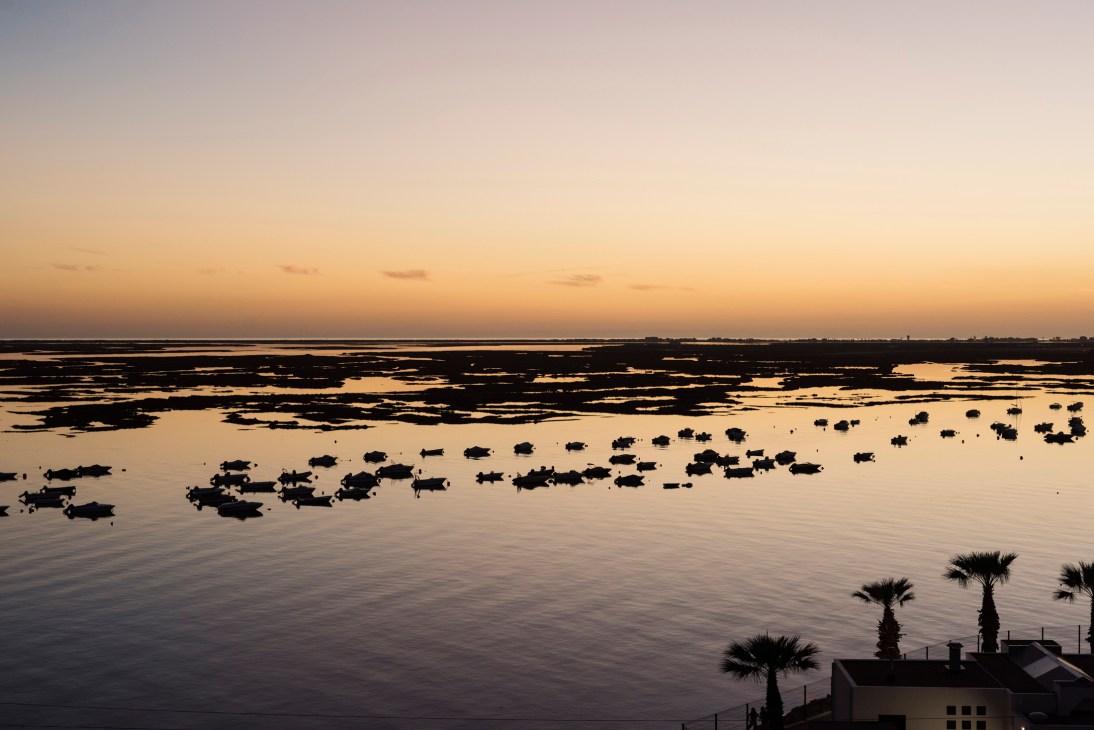 Silhouetted boats on calm water at sunset in the Canal de Faro with palm trees in the foreground.