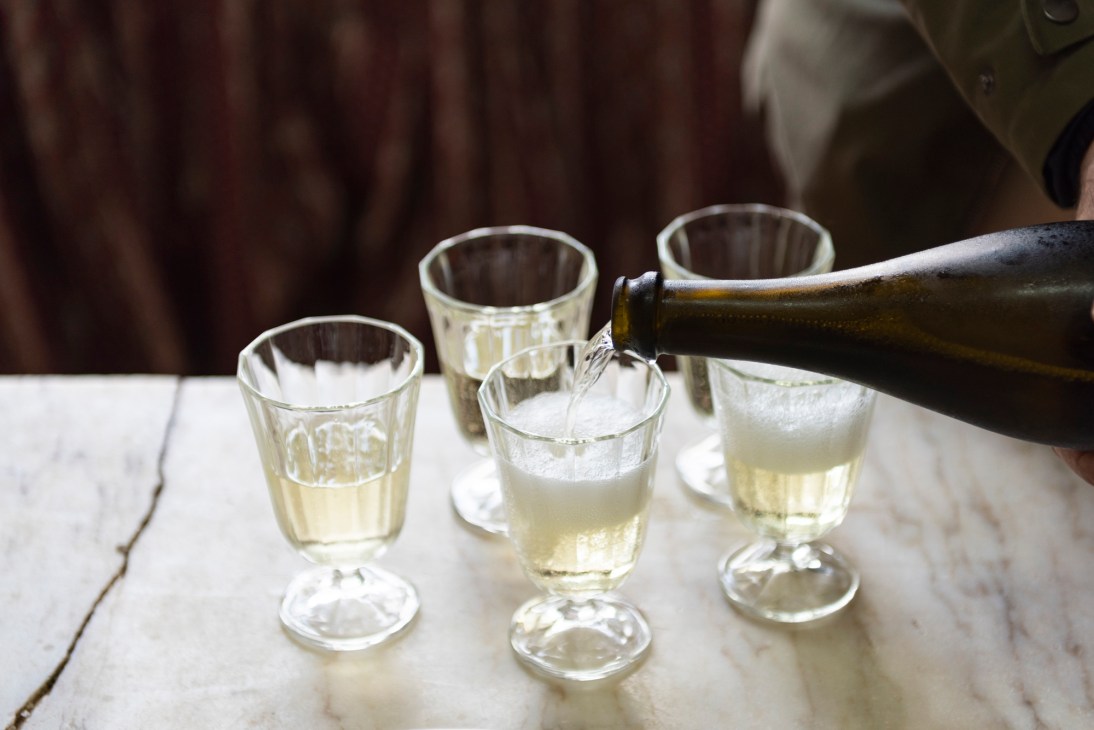 People toasting with wine glasses celebrating agricultural success in Portugal