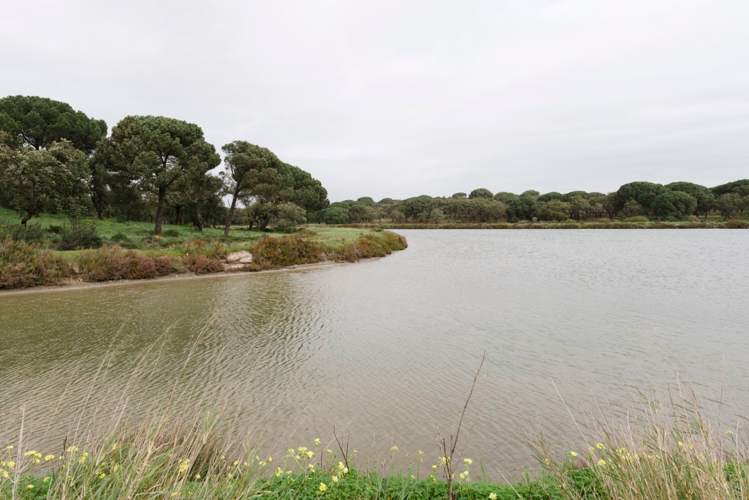 Tanks and equipment at Neptun Pearl oyster farm in Portugal's Sado estuary