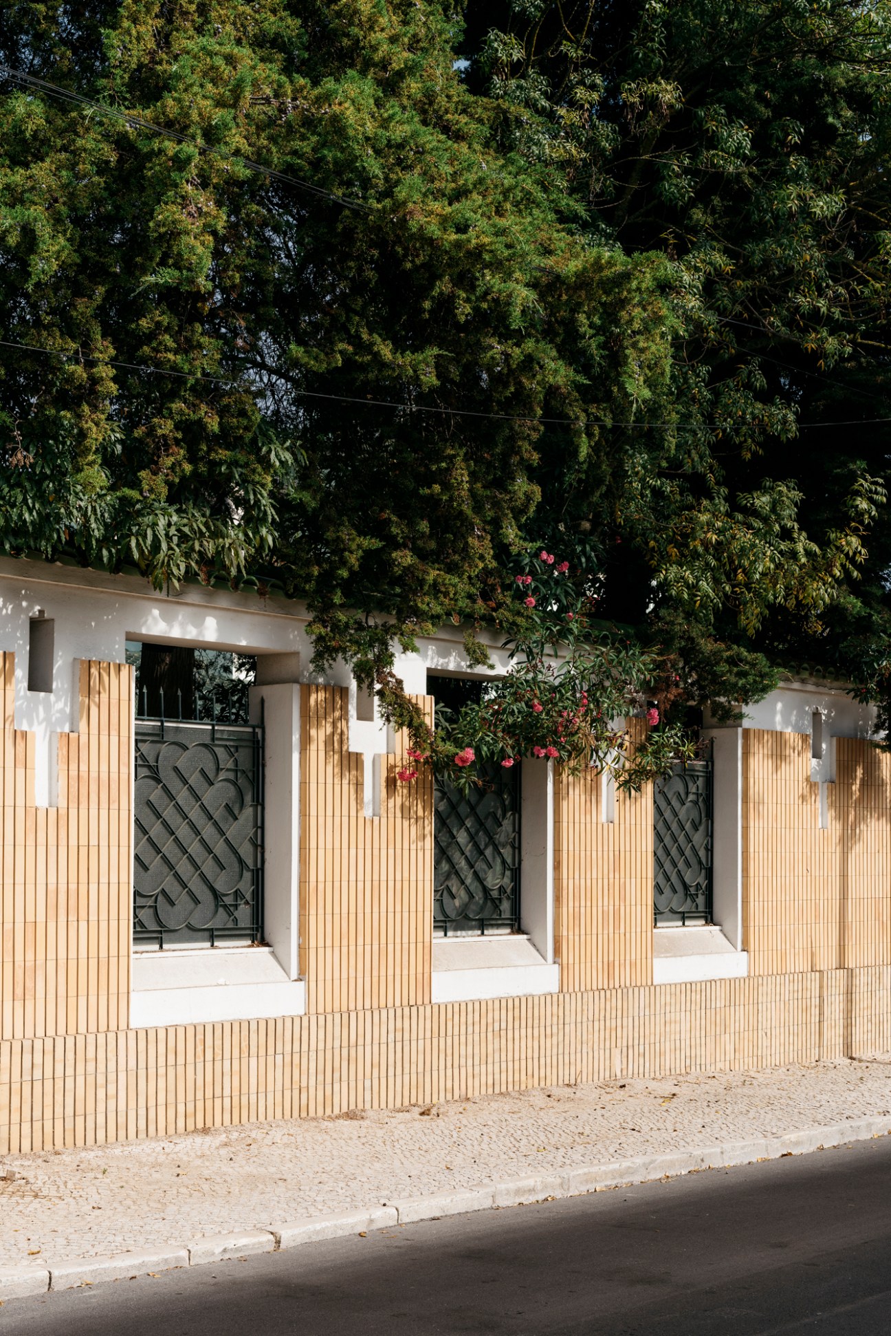 Green ivy and foliage covering a residential wall and fence in Lisbon's Restelo neighborhood