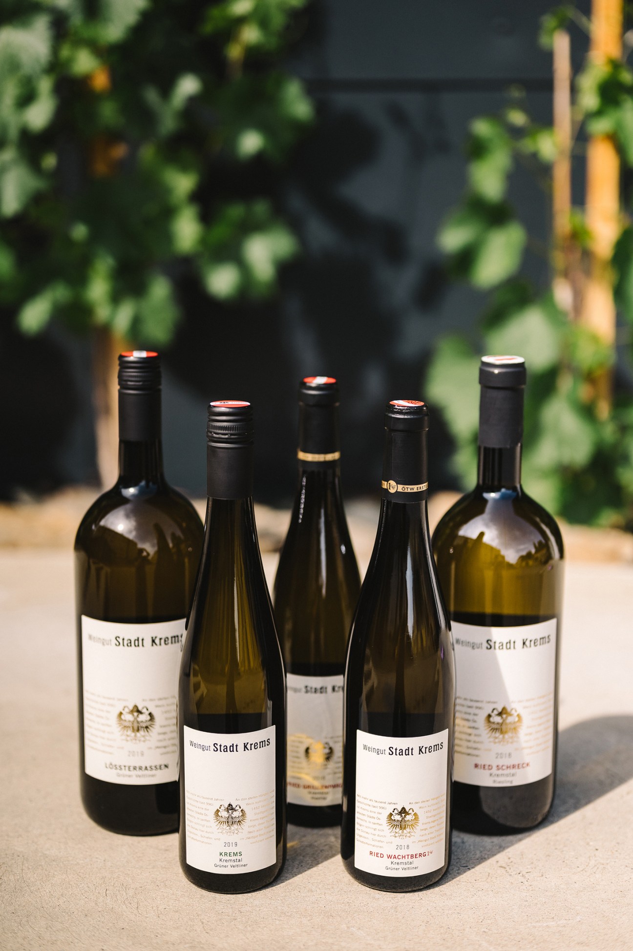 Five bottles of white wine from Weingut Stadt Krems arranged on a table outdoors