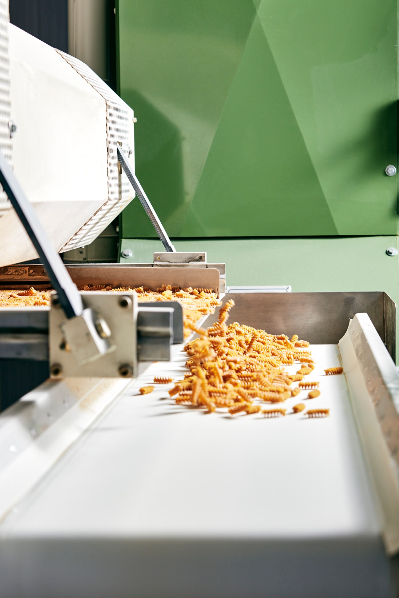 Fresh pasta flowing from industrial machinery onto a conveyor belt at Felicetti pasta factory