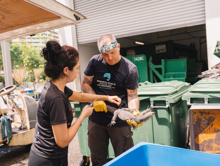 Uma Rai and Aaron Hyberger examining a rescued monitor lizard at ACRES animal rescue facility