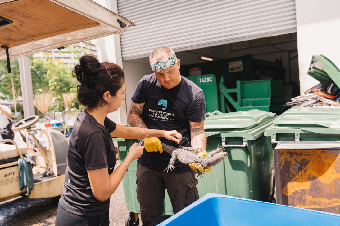 Uma Rai and Aaron Hyberger examining a rescued monitor lizard at ACRES animal rescue facility