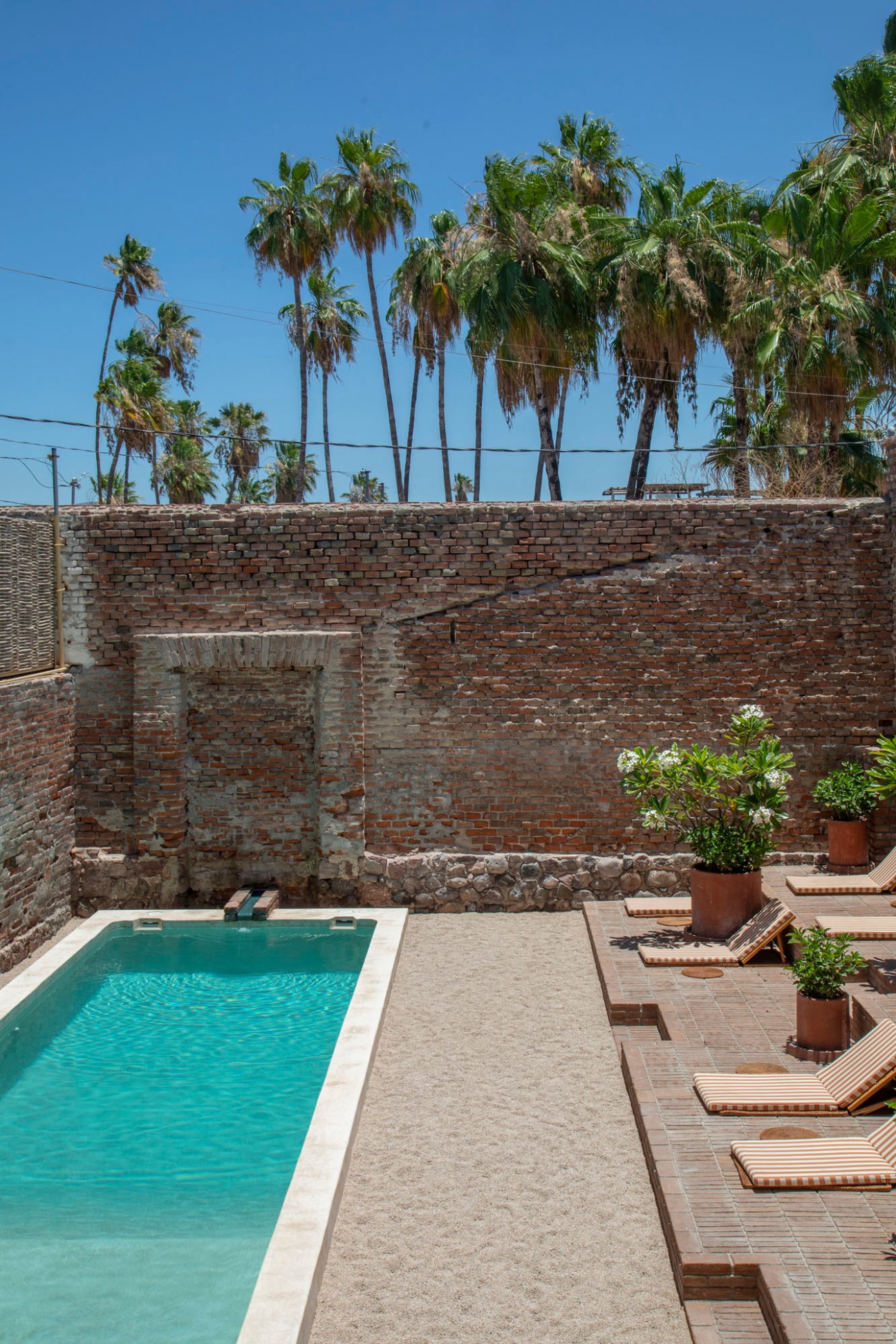 Turquoise pool surrounded by terracotta loungers against a handmade brick wall with palm trees and blue sky beyond.