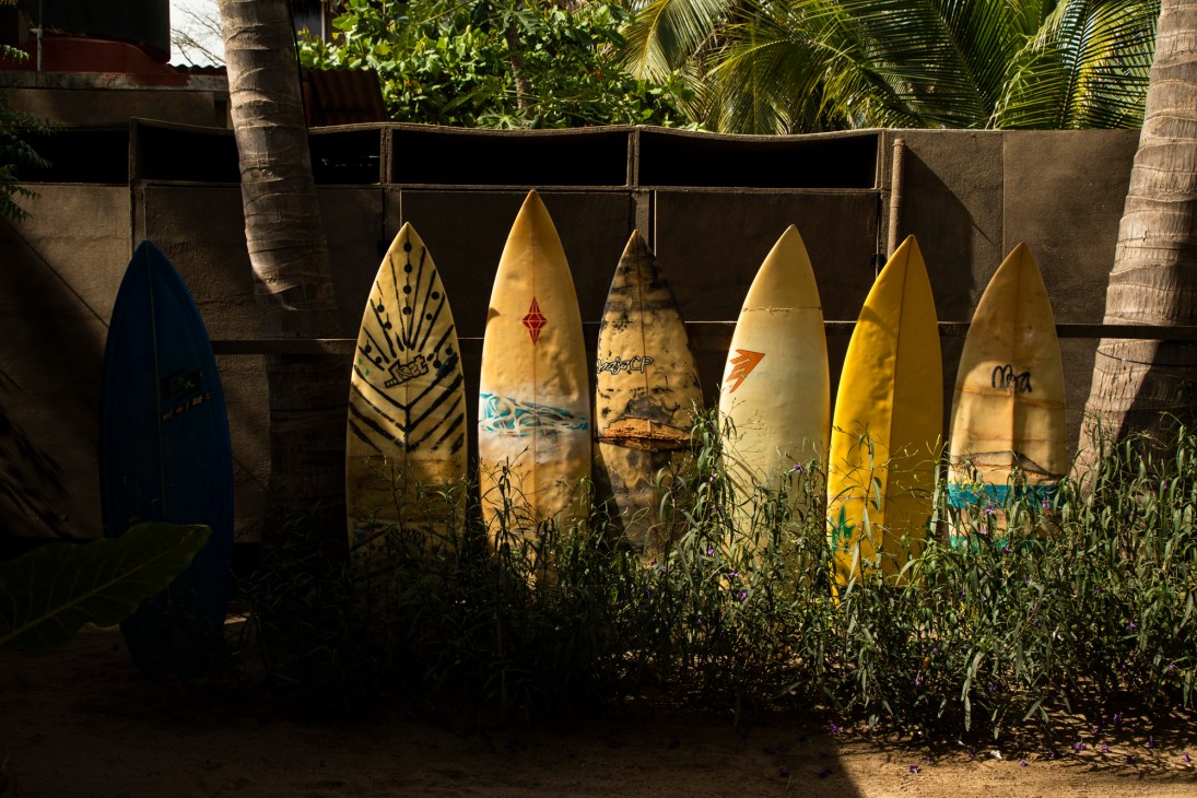 Row of weathered yellow surfboards lined up against concrete wall with palm trees and tropical vegetation