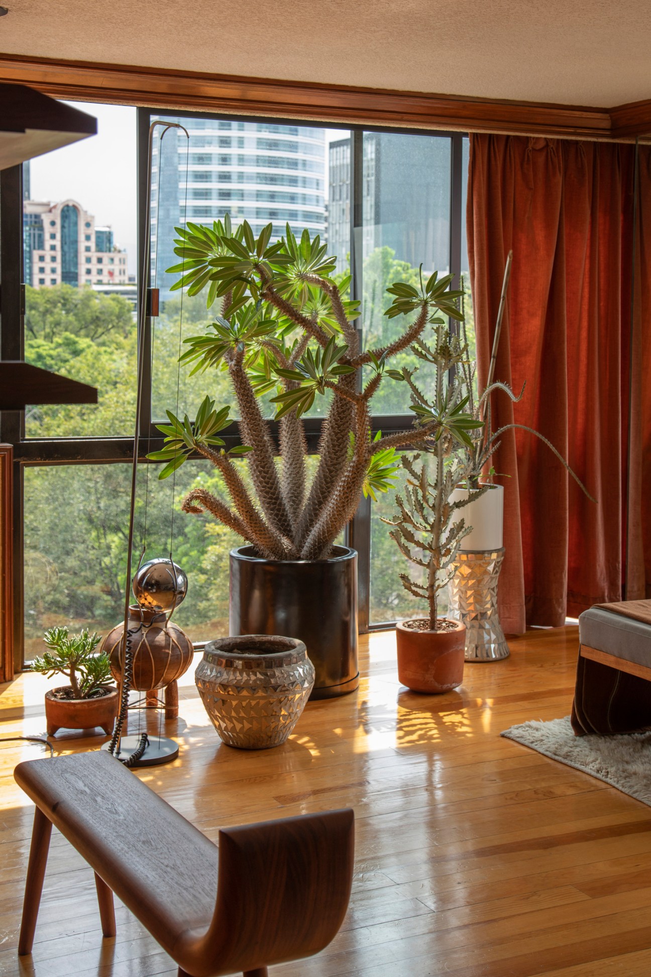 Living space with wooden coffee table, plants, decorative objects and large windows overlooking city buildings