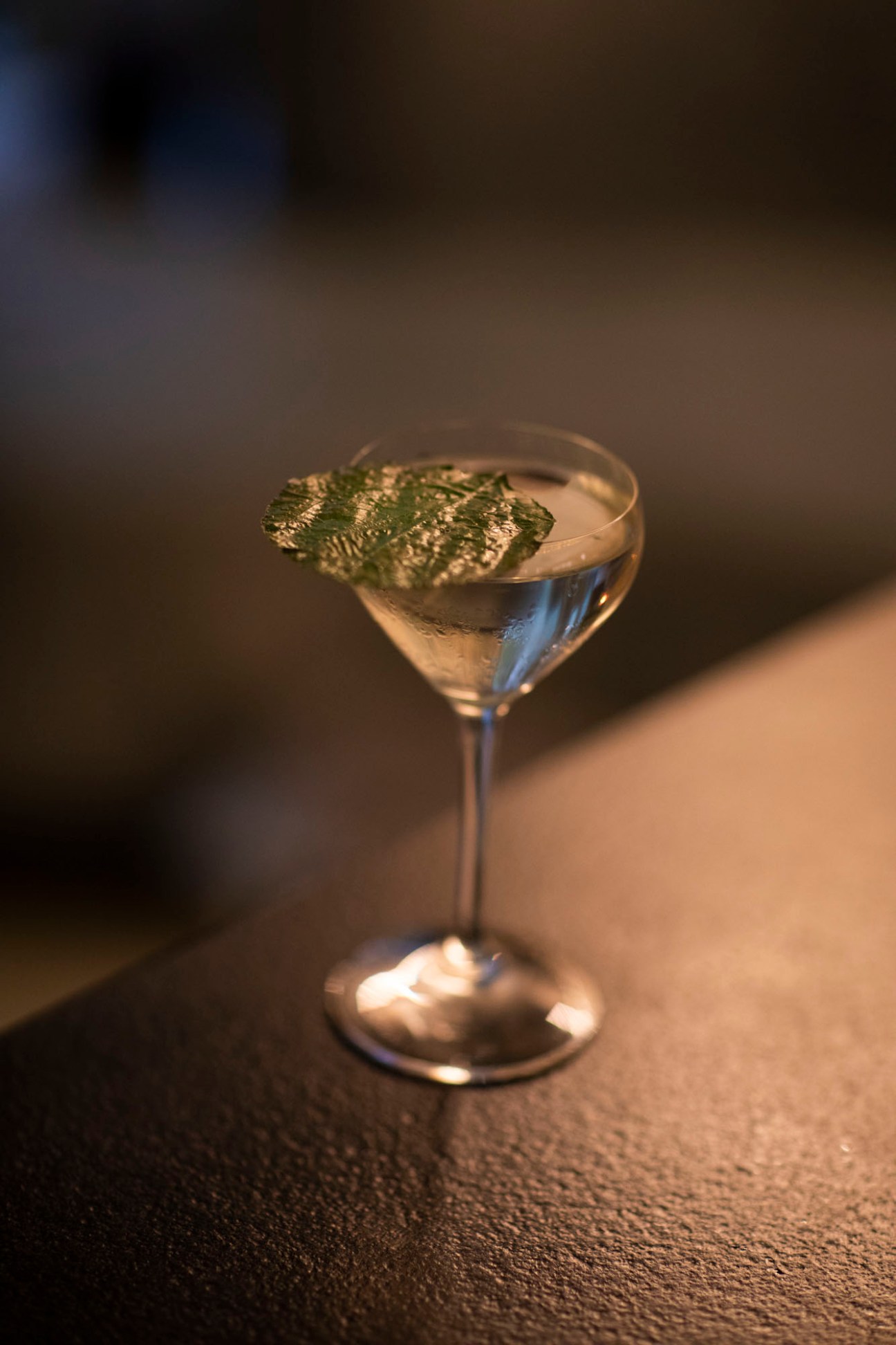 Hoja santa martini cocktail garnished with green leaves in coupe glass