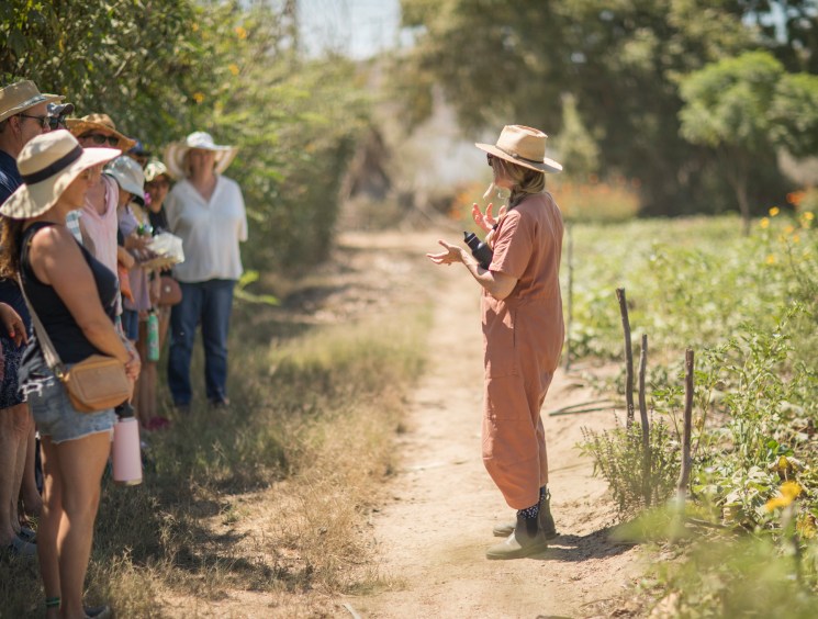 A guide in brown coveralls speaks to a group of visitors wearing sun hats on a dirt path at an organic farm