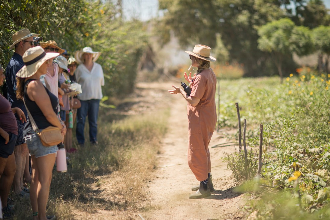 A guide in brown coveralls speaks to a group of visitors wearing sun hats on a dirt path at an organic farm