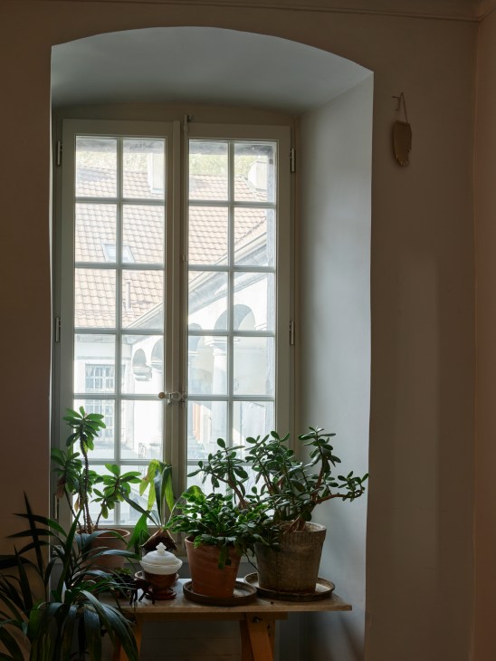 Kitchen interior showing potted plants on surfaces and natural elements