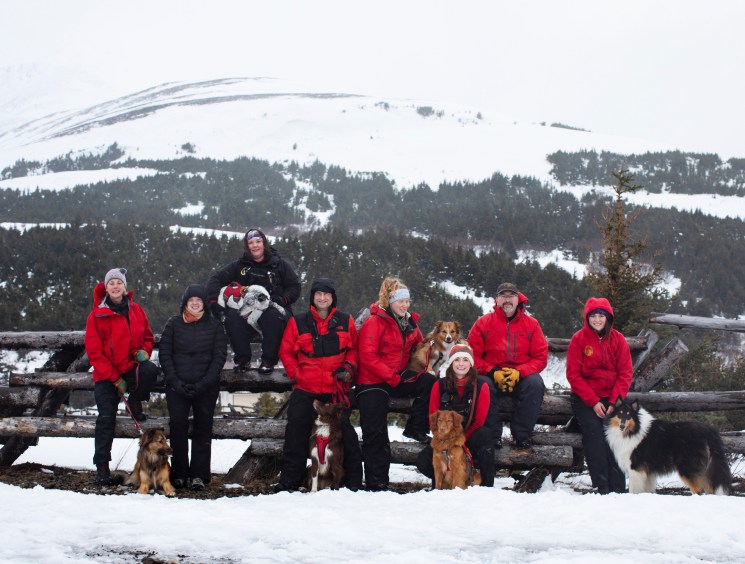 Group of Alaska Search and Rescue Dogs volunteers with their canine partners posing on snowy wooden fence