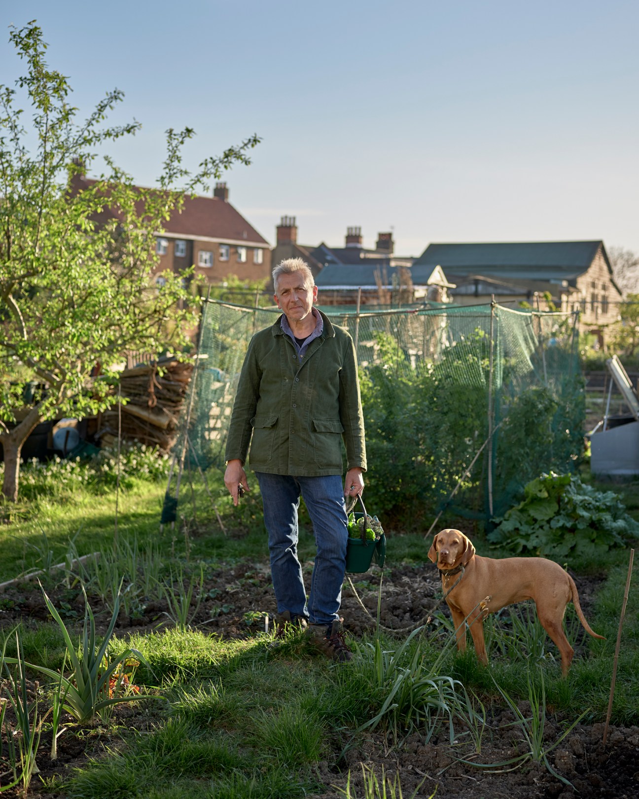 Gary Levart and his dog standing in an allotment garden with vegetables and houses in the background