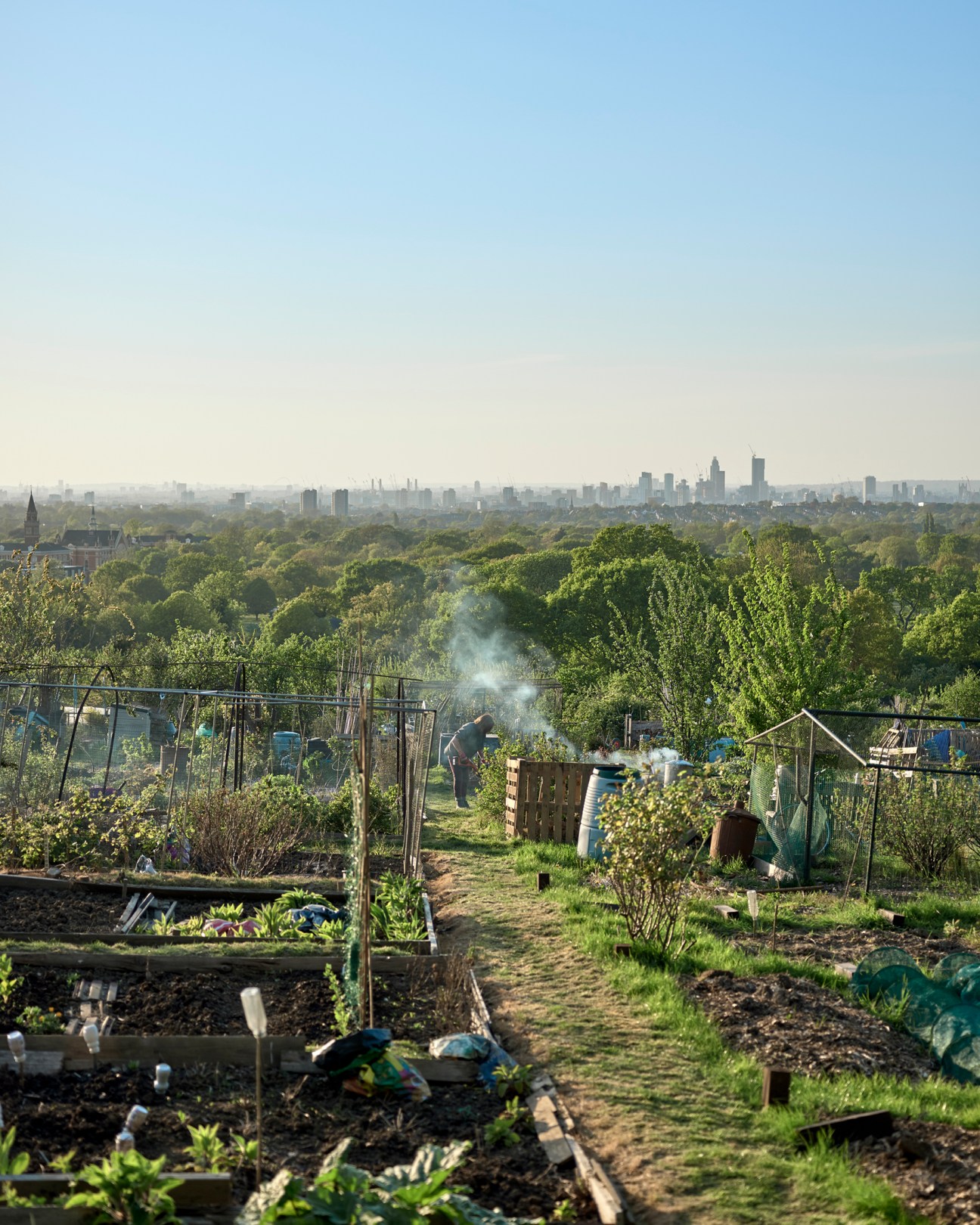 Community allotments with individual garden plots, sheds, and pathways overlooking London's city skyline