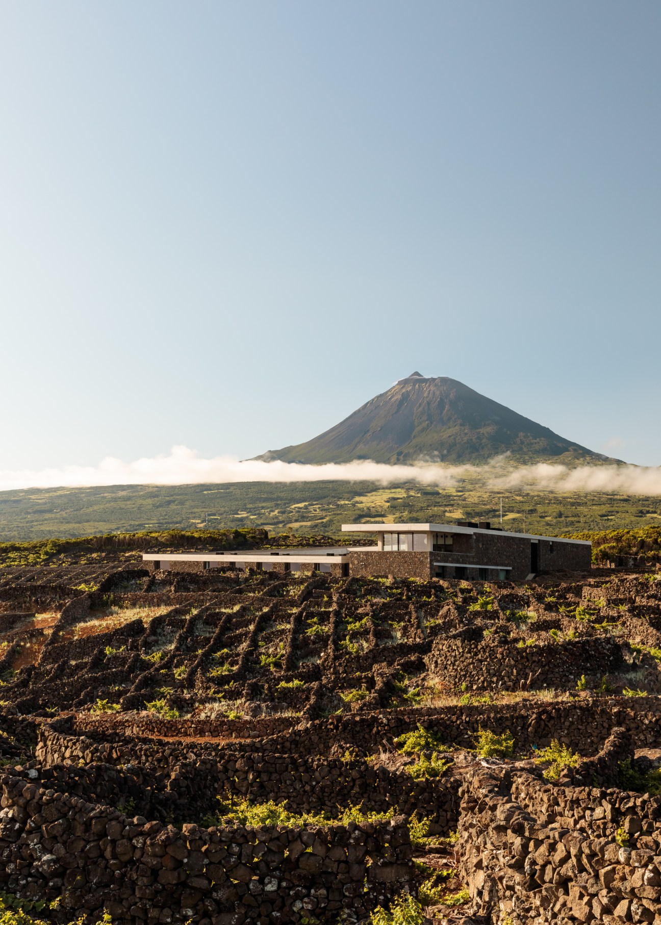 Modern winery building integrated into volcanic landscape with mountain in background on Pico Island