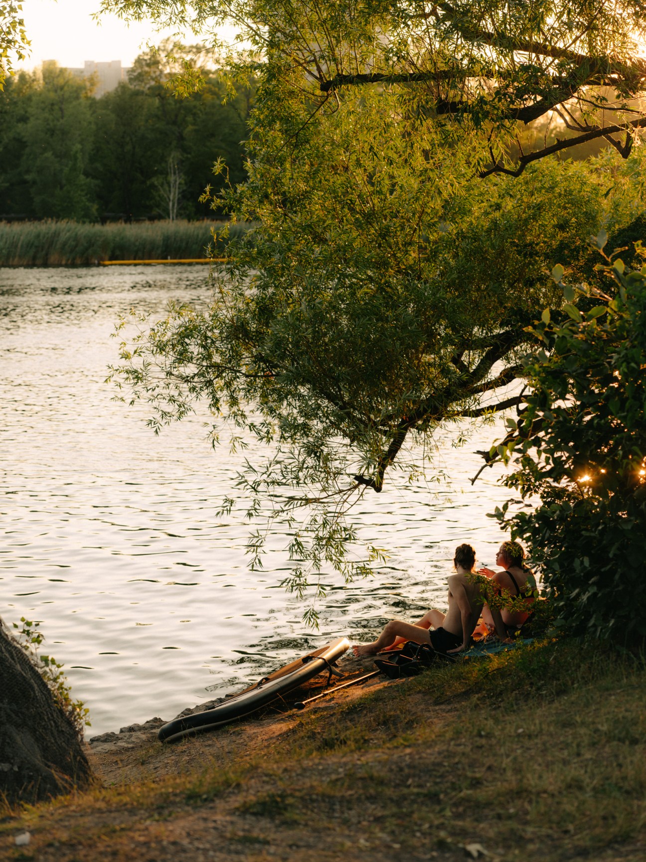 Two people sitting by a lake under a willow tree with a canoe on the shore