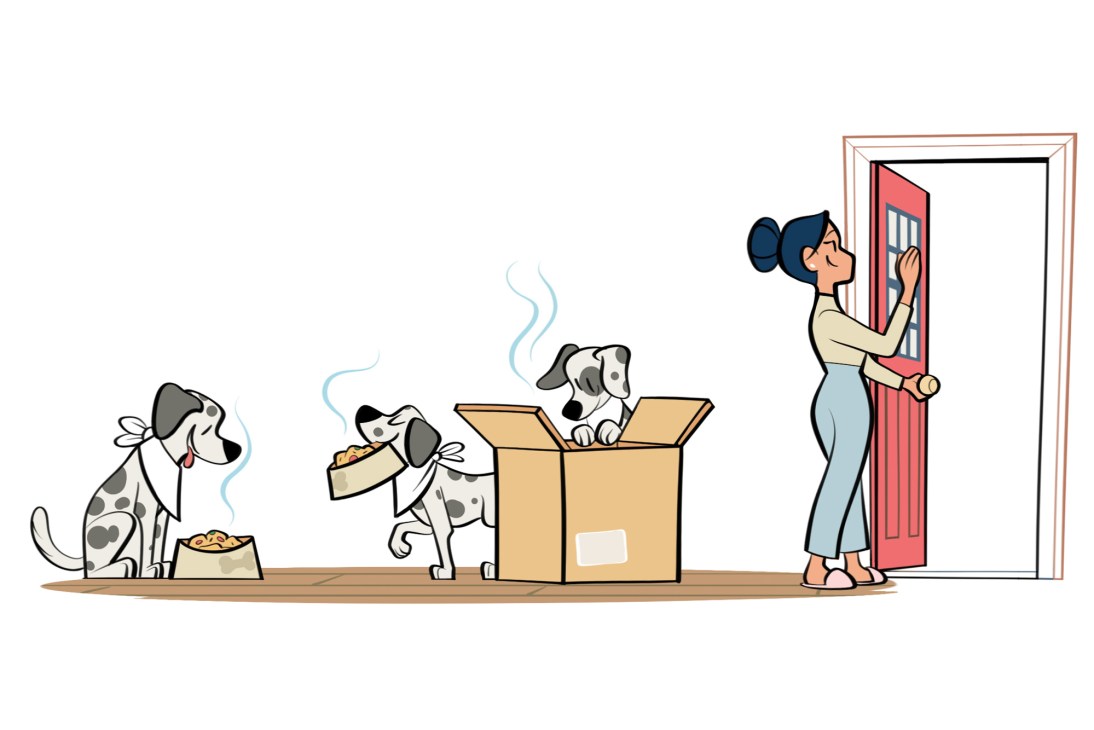 Woman unpacking moving boxes while three dogs watch and play around cardboard boxes in a home setting