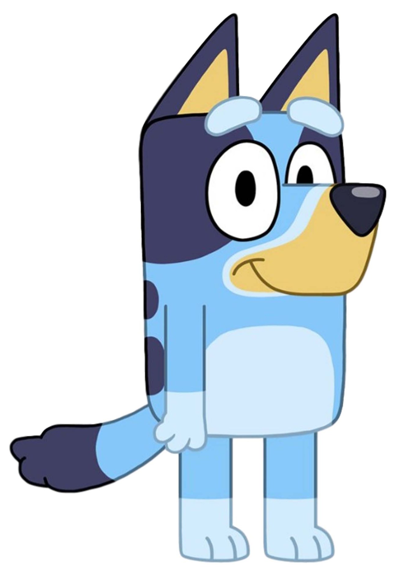 Bluey, the blue heeler dog character, in a characteristic pose with her arms crossed and a confident smile