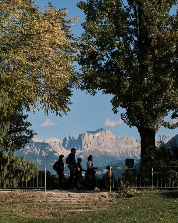 Four silhouetted figures stand beneath autumn trees with the Dolomite mountains visible in the background in Bolzano.