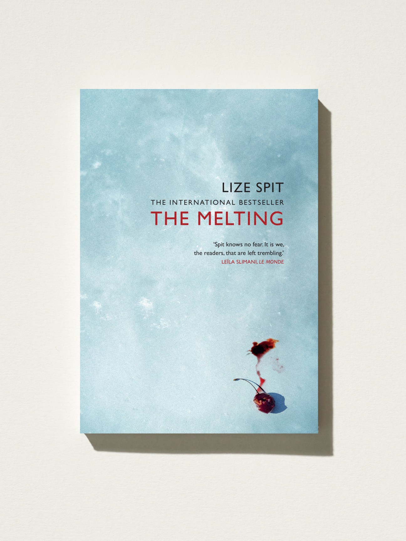 Book cover of 'The Melting' by Lize Spit featuring a pale blue background with a dark red flower or leaf at the bottom.