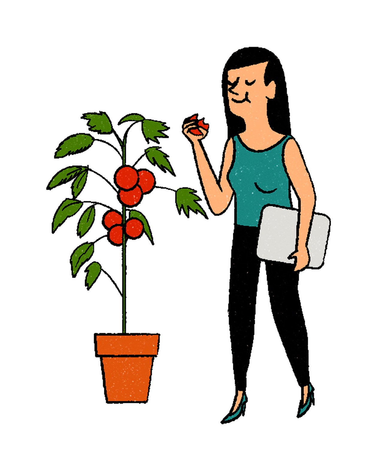 Illustration of a woman holding a laptop and eating from a tomato plant in a pot.