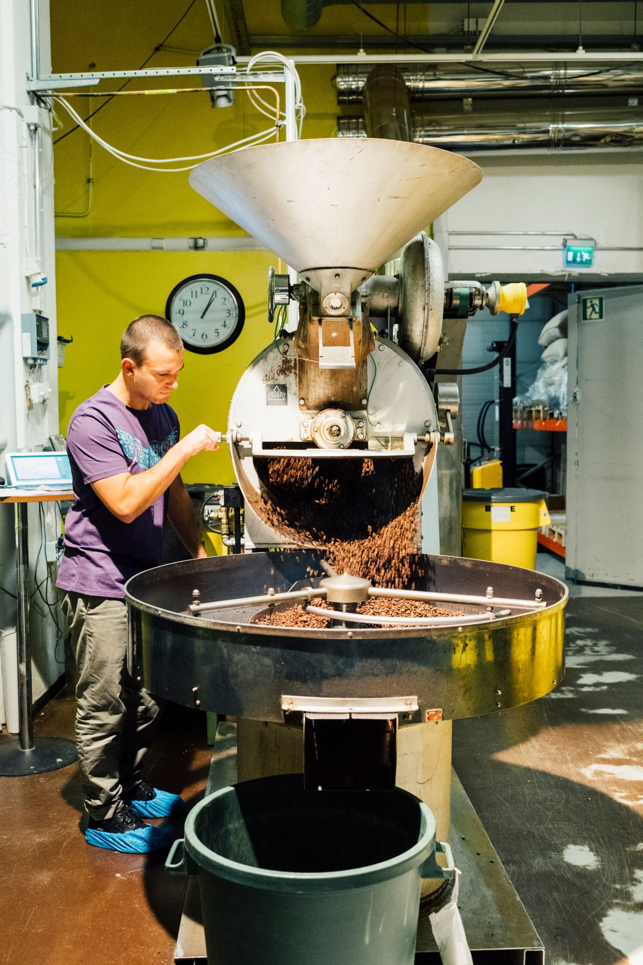 Man operating a large industrial coffee roaster in a bright yellow-walled roastery space, with roasted coffee beans pouring from the machine into a collection drum below.