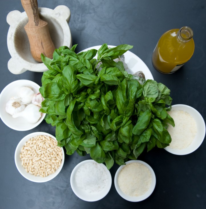 Fresh basil, pine nuts, garlic, cheese, salt and olive oil arranged around a marble mortar and wooden pestle for making traditional Genovese pesto.