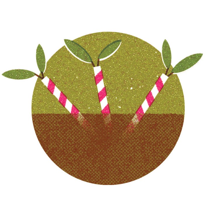 Illustration of three potted cacti with pink and white striped stems against brown soil.
