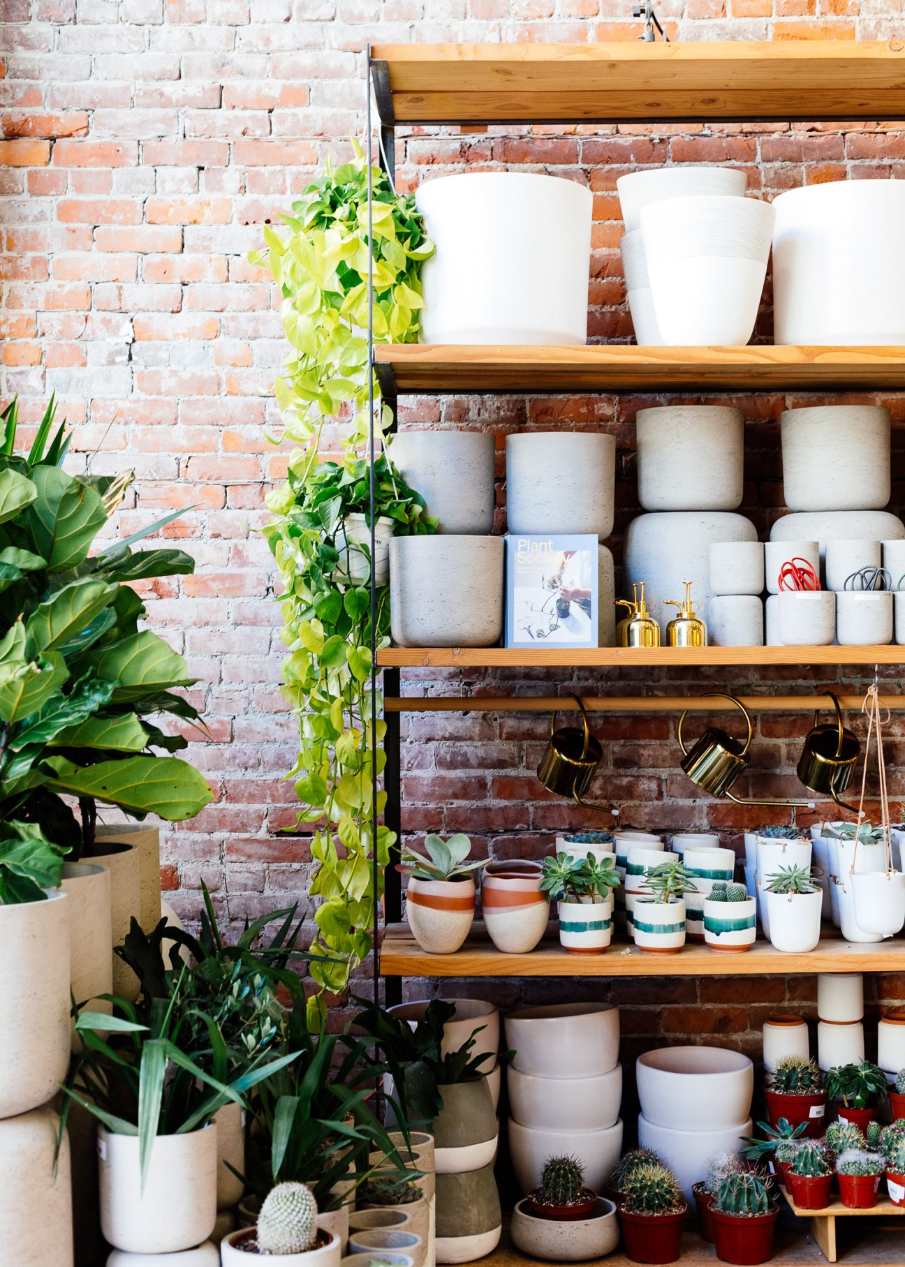 Wooden shelving unit with white ceramic vessels, watering cans, and potted succulents against a brick wall.