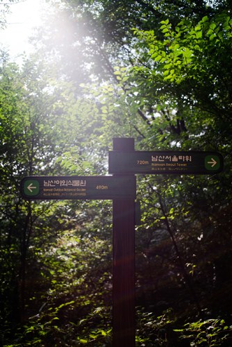 A wooden trail marker sign among lush green foliage and trees in morning sunlight at Inwangsan mountain in Seoul.