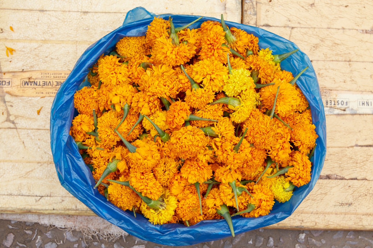 Yellow and orange cut flowers in a blue plastic basket at Luang Prabang's morning market.