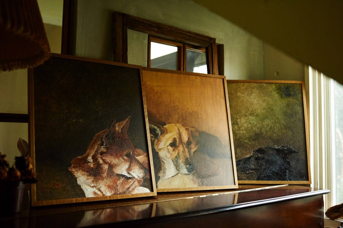 Three framed paintings of animals with wooden frames displayed on a shelf with windows behind.