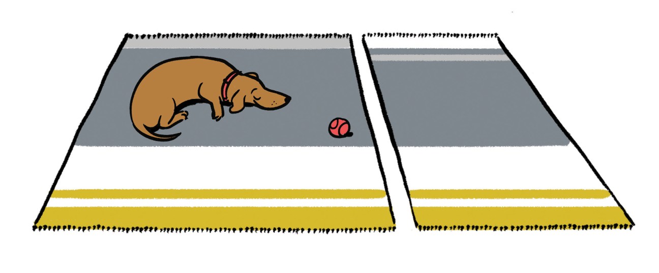 Illustration of two striped rugs with a brown dachshund and red ball on the left rug.