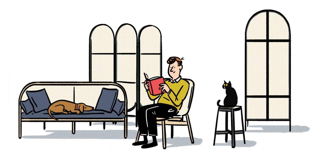 Illustration of a man reading in a modern interior with a sofa, arched windows, and a black cat on a stool.